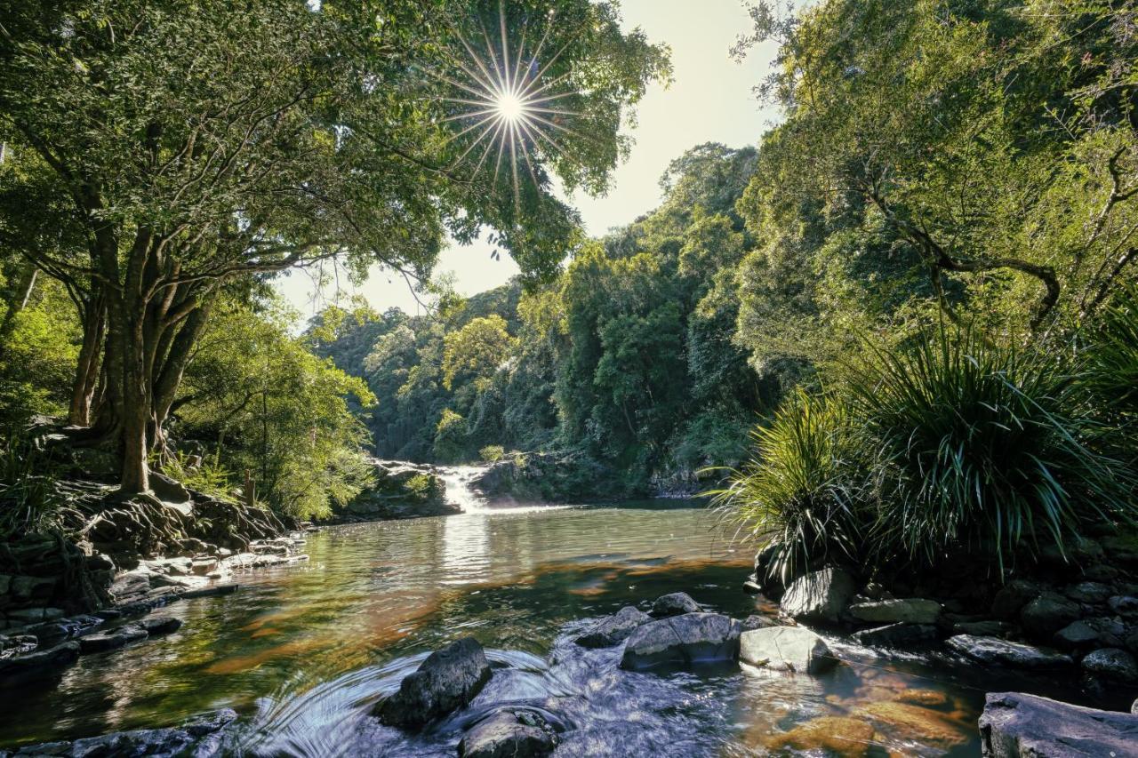 Narrows Escape Rainforest Retreat Montville Exterior foto
