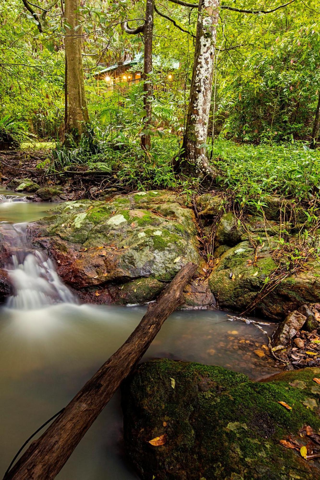 Narrows Escape Rainforest Retreat Montville Exterior foto
