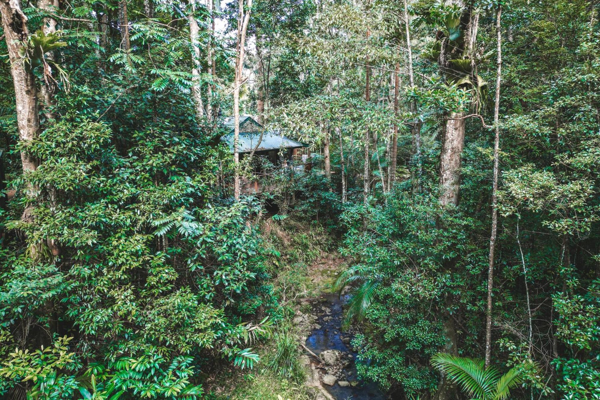 Narrows Escape Rainforest Retreat Montville Exterior foto
