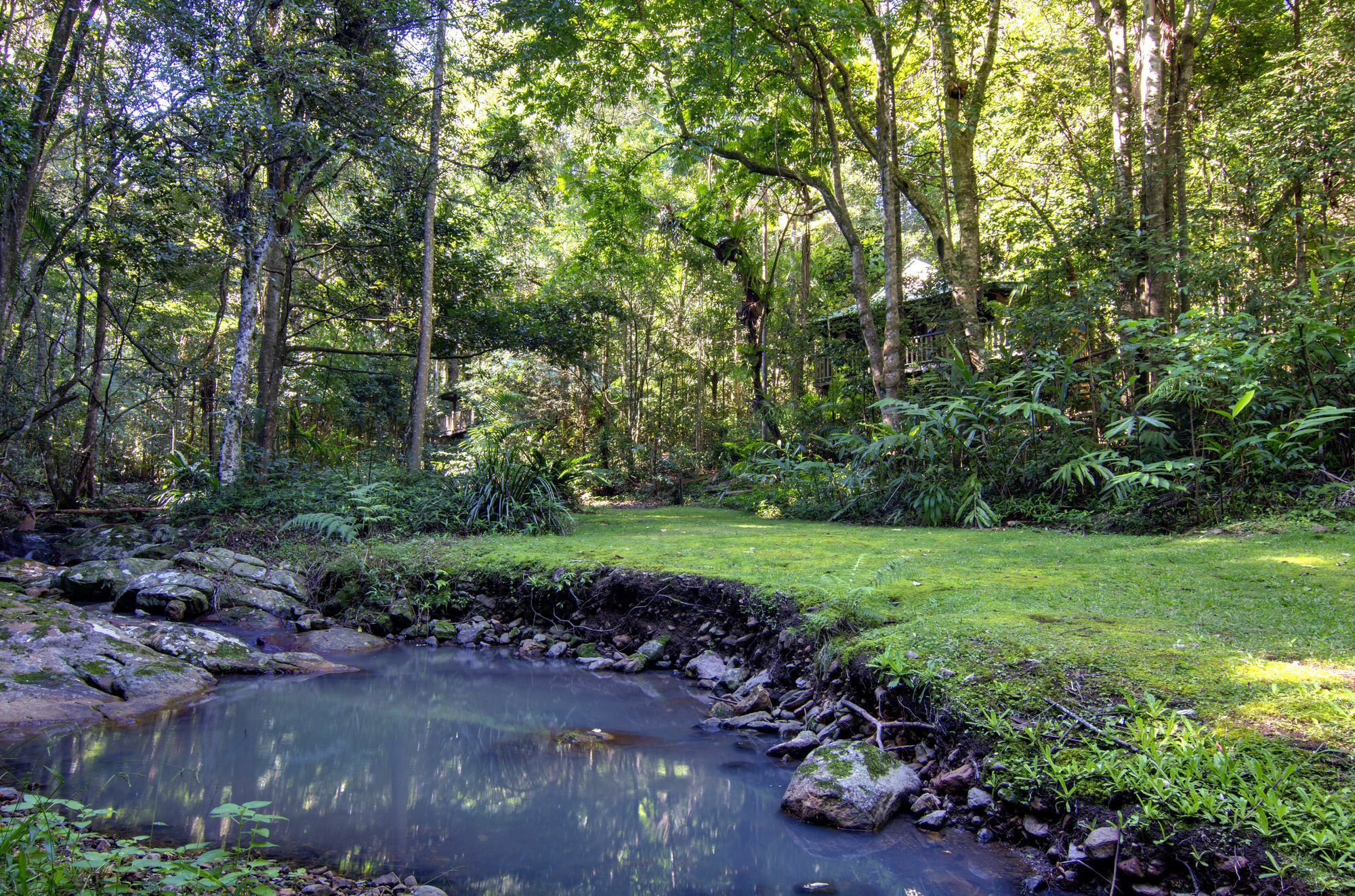 Narrows Escape Rainforest Retreat Montville Exterior foto